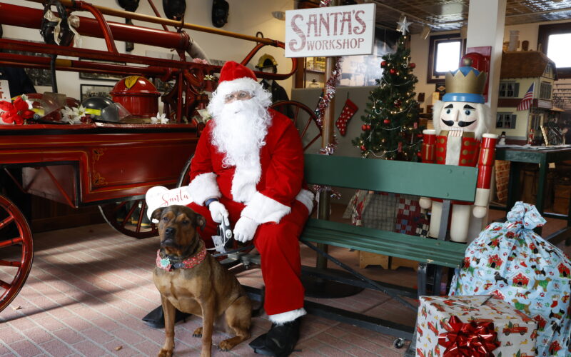 Santa and dog