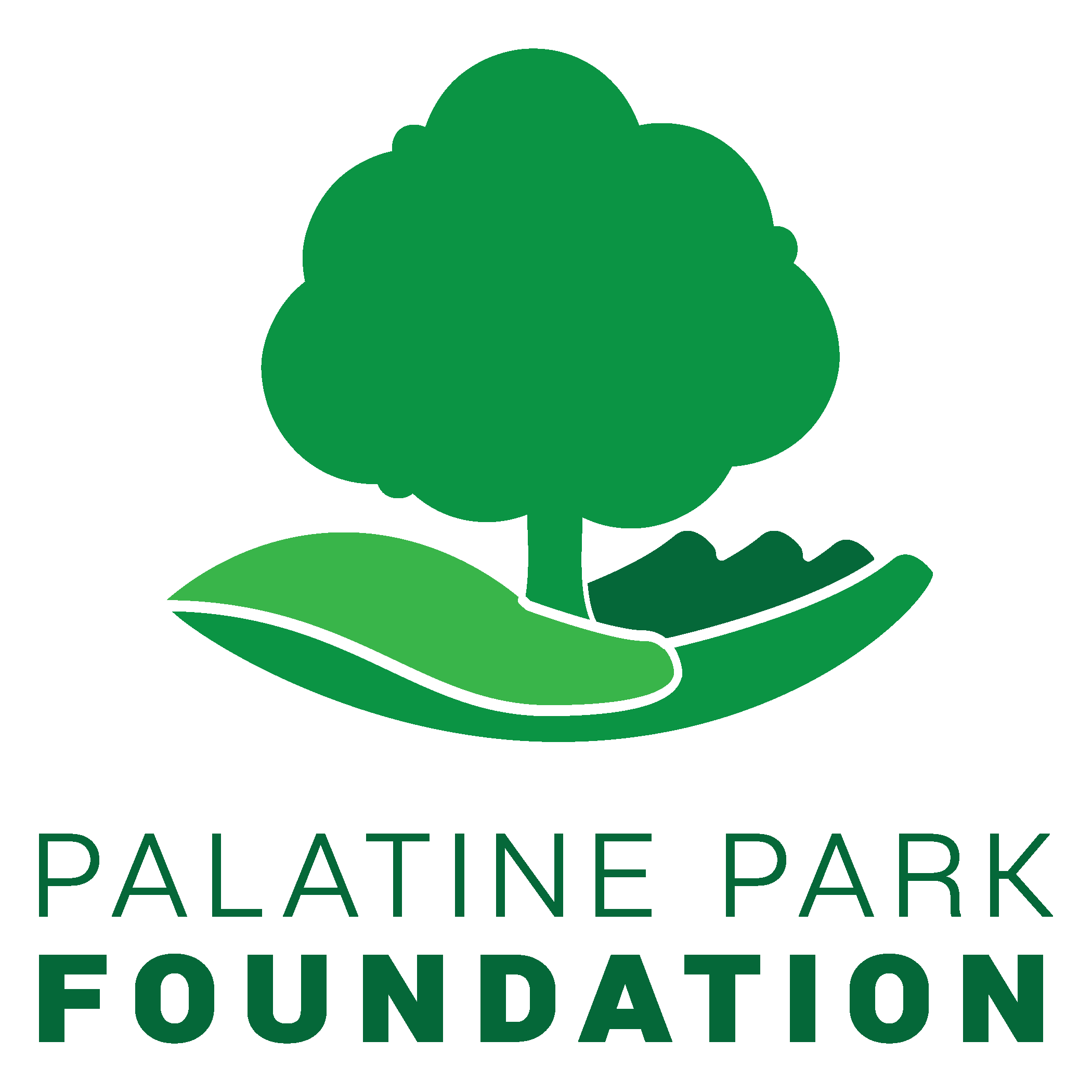 Palatine Park Foundation Color-01