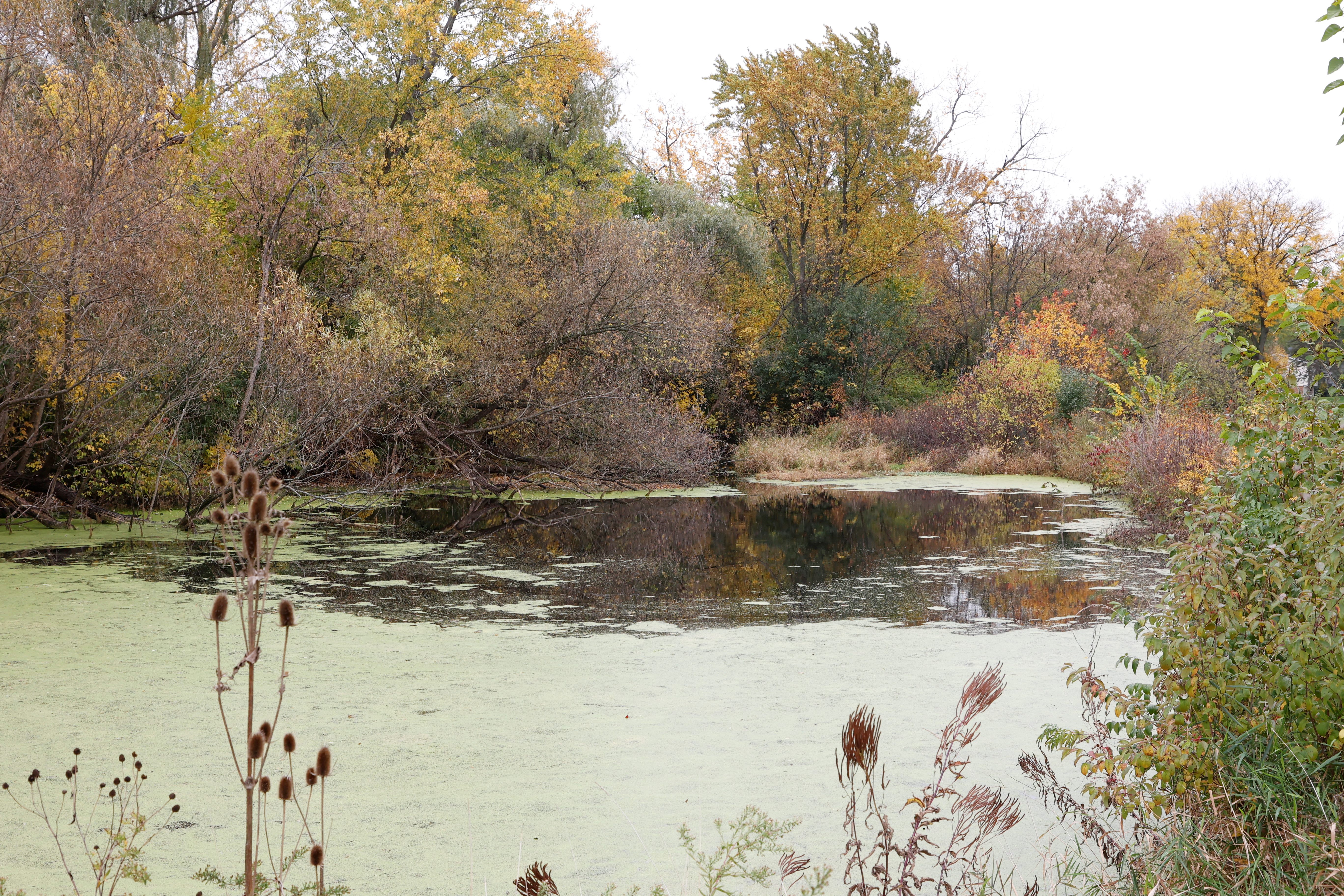 Peruse Your Parks this Fall